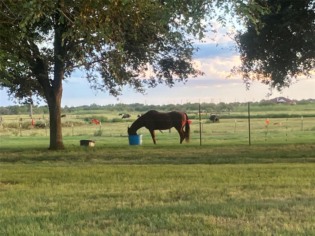 28th Street, Woodville, Texas image 2