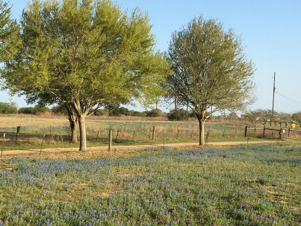 28th Street, Woodville, Texas image 4