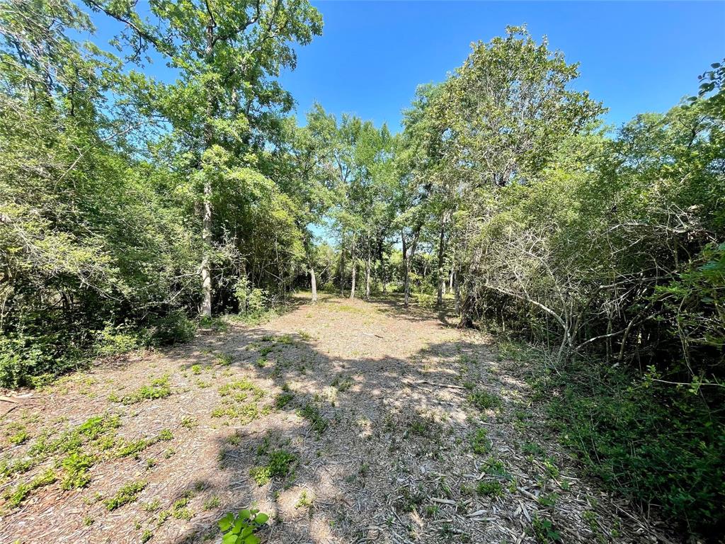9211 Stetson Drive, Normangee, Texas image 5