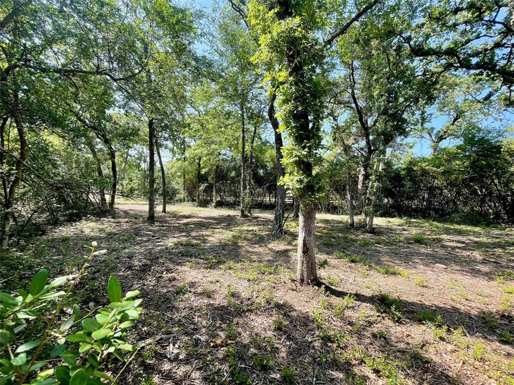 9211 Stetson Drive, Normangee, Texas image 6
