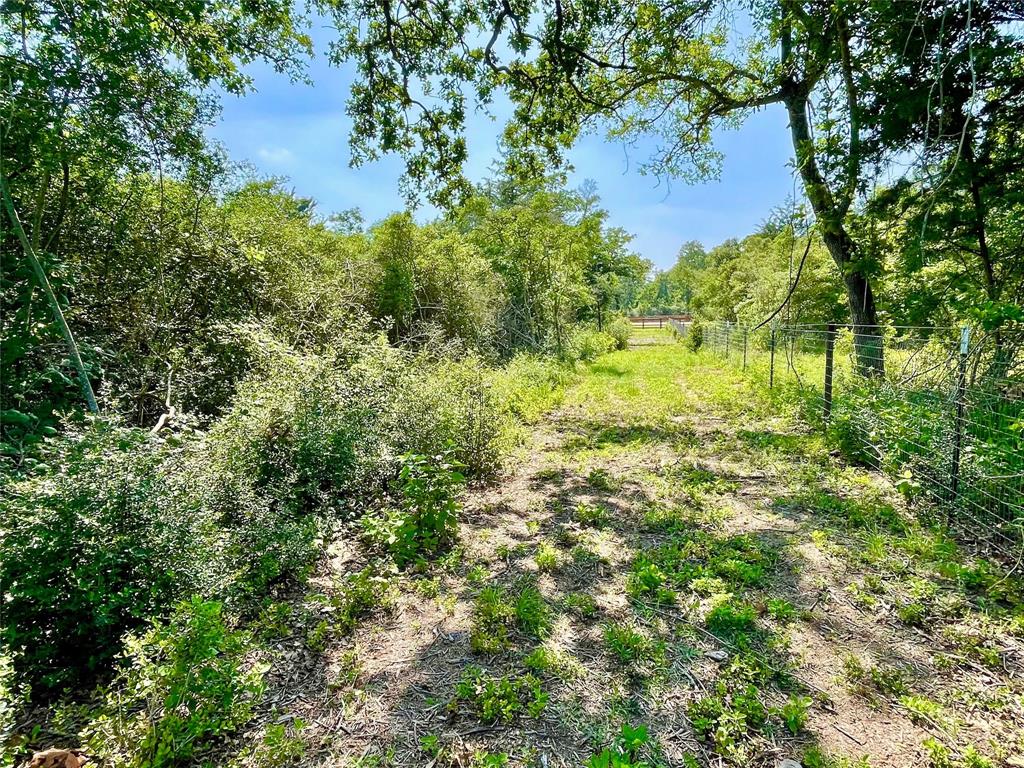 9211 Stetson Drive, Normangee, Texas image 13