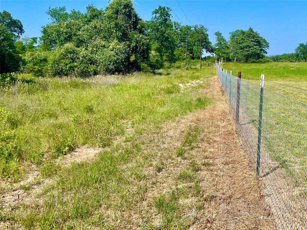 9211 Stetson Drive, Normangee, Texas image 8