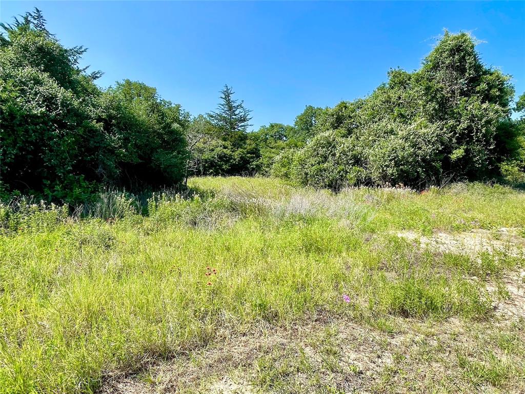 9211 Stetson Drive, Normangee, Texas image 9