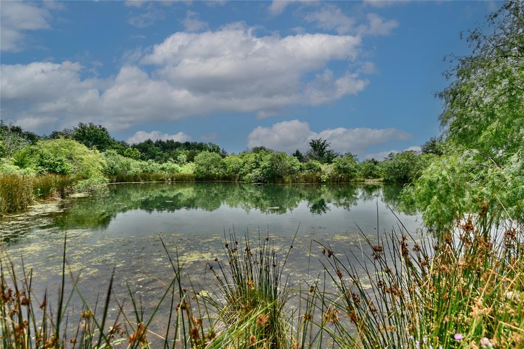 TBD Fm 1115, Flatonia, Texas image 1