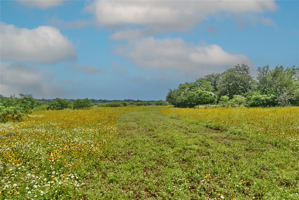 TBD Fm 1115, Flatonia, Texas image 11