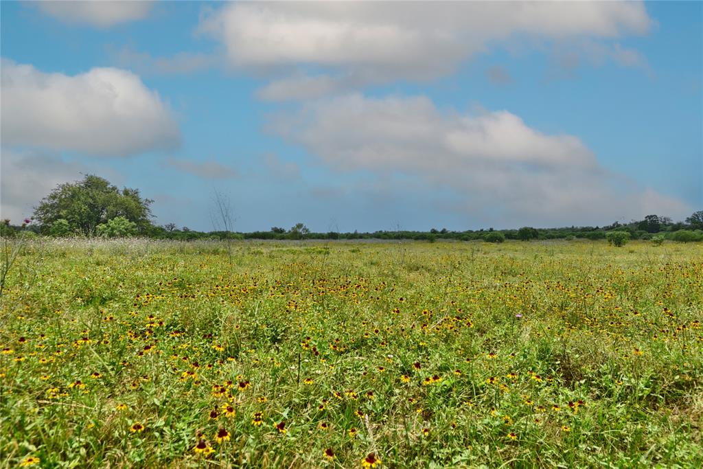 TBD Fm 1115, Flatonia, Texas image 5