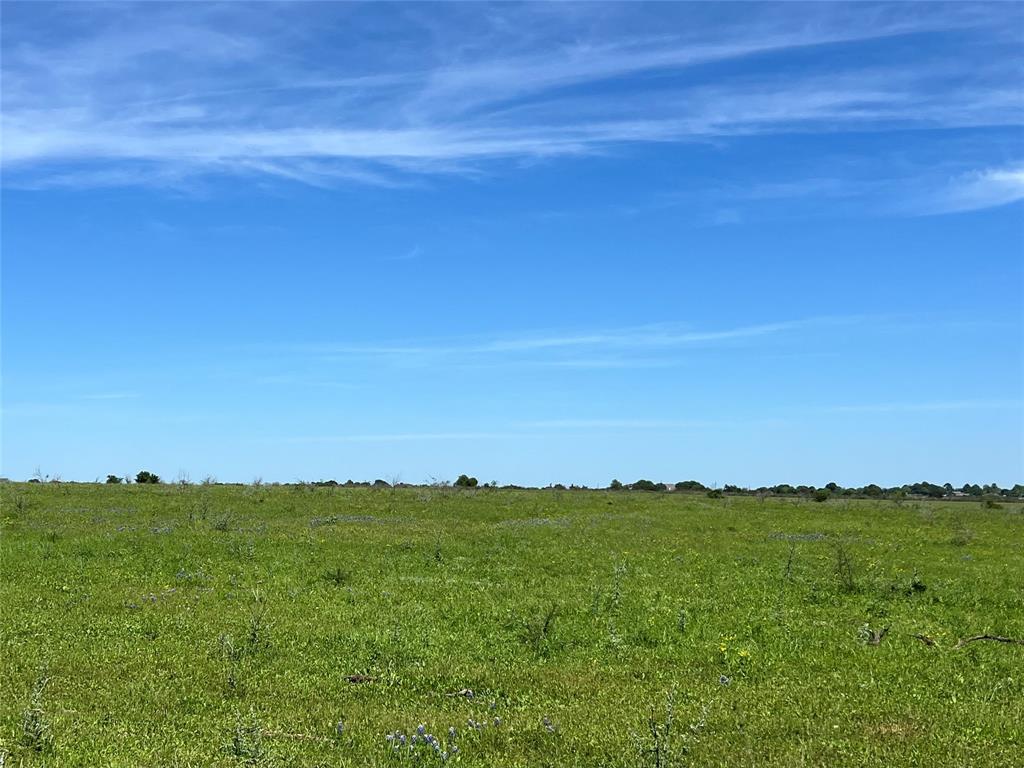 TRACT 1 Jozwiak Rd, Chappell Hill, Texas image 3