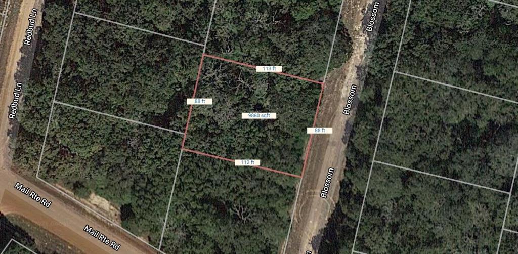 Lot 15 Blossom, Normangee, Texas image 2