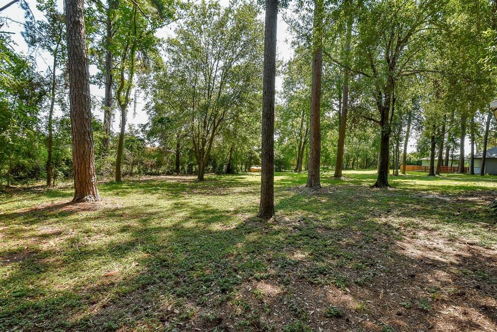 18110 Auburn Drive, Tomball, Texas image 30