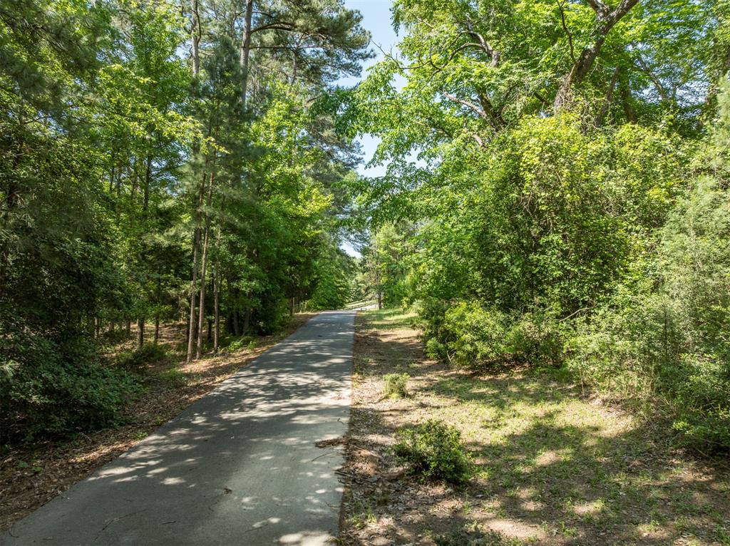 435 An County Road 3763, Palestine, Texas image 47