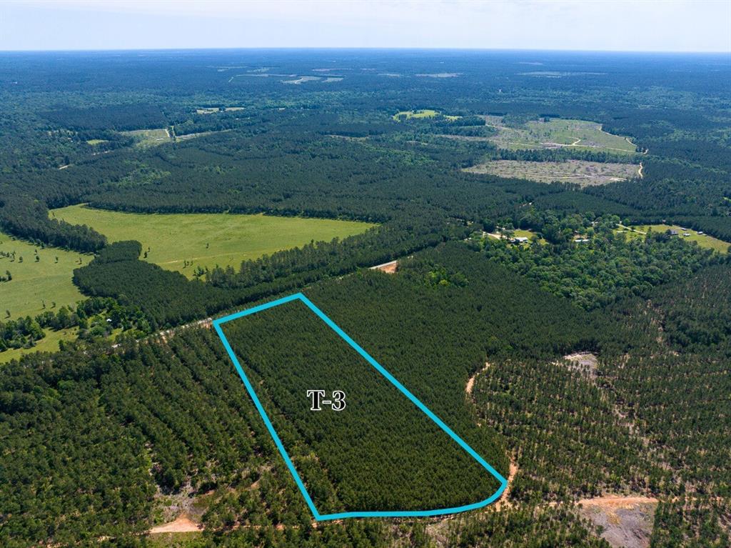 3 Camp Ruby Road, Livingston, Texas image 1