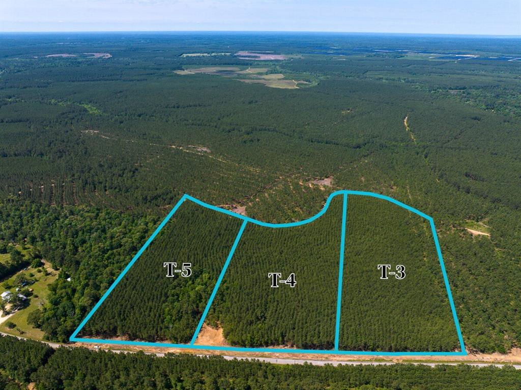 3 Camp Ruby Road, Livingston, Texas image 2