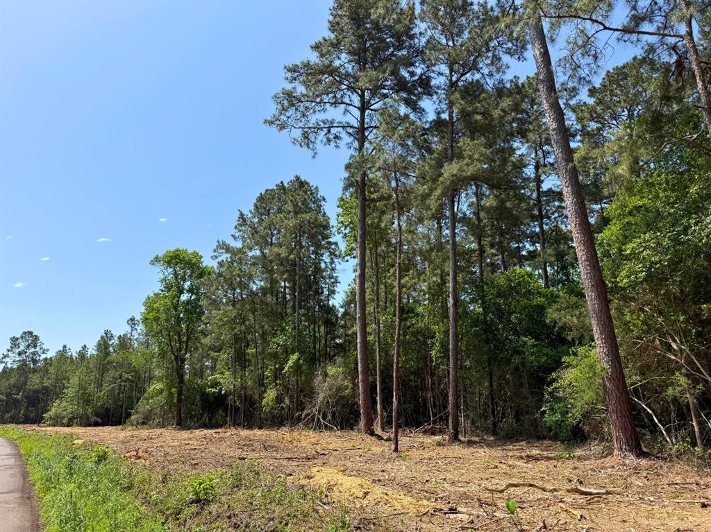 3 Camp Ruby Road, Livingston, Texas image 6