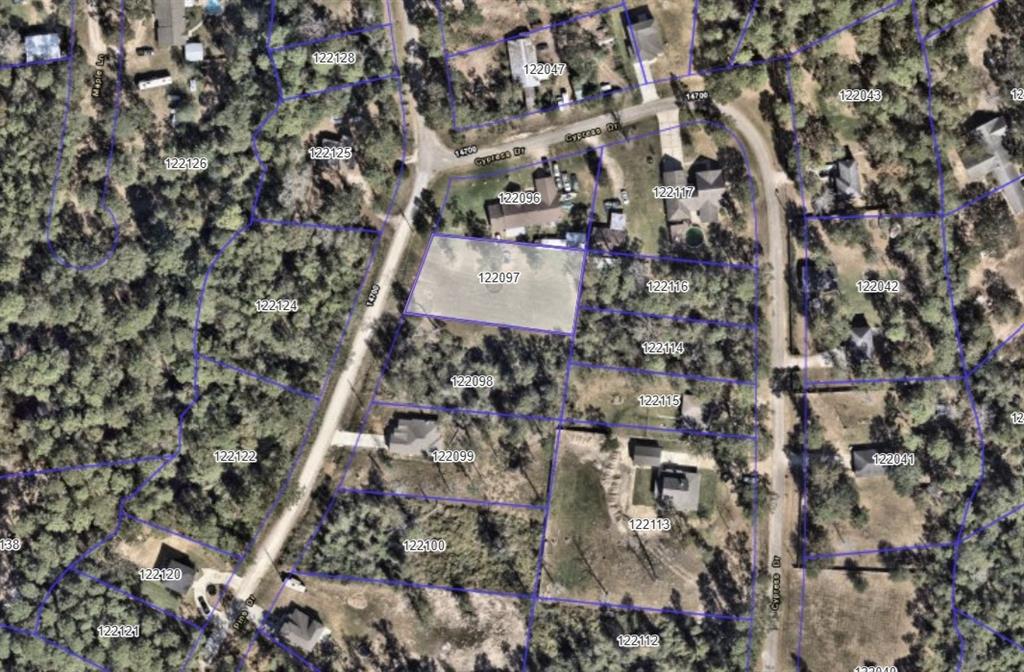 LOT 2 Pine Drive, Conroe, Texas image 3