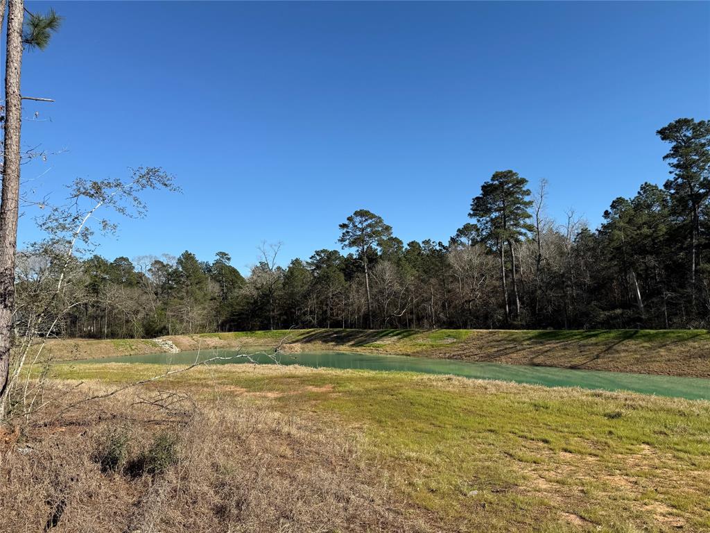 26601 Buchanan Court, Magnolia, Texas image 3