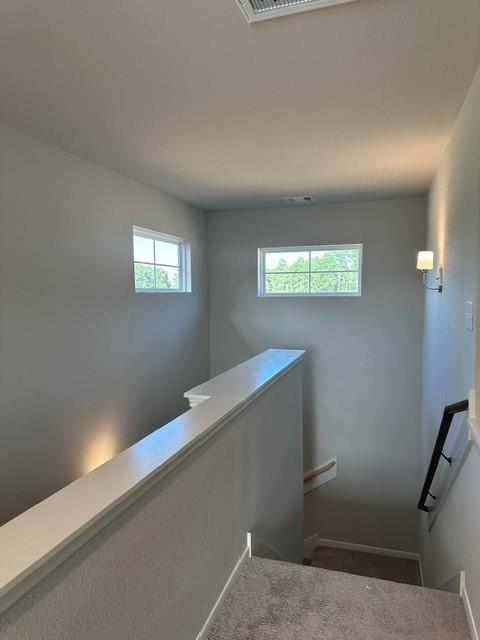 5004 Marcasca Dr, Katy, Texas image 20