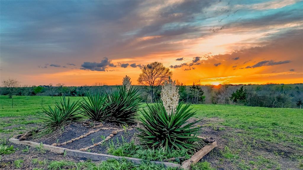 5914 Guettermann-ehler Road, Muldoon, Texas image 13