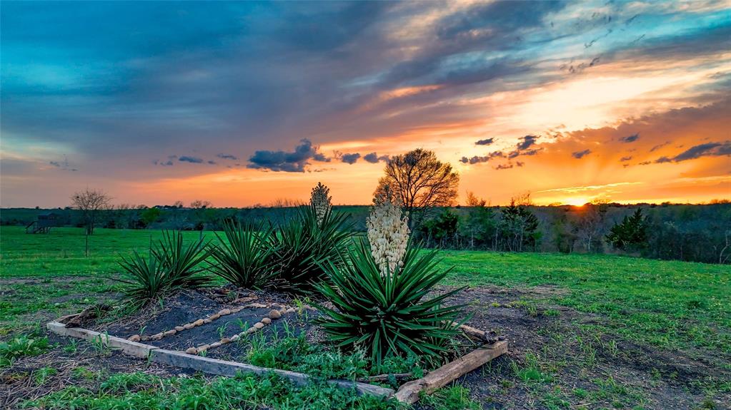 5914 Guettermann-ehler Road, Muldoon, Texas image 18