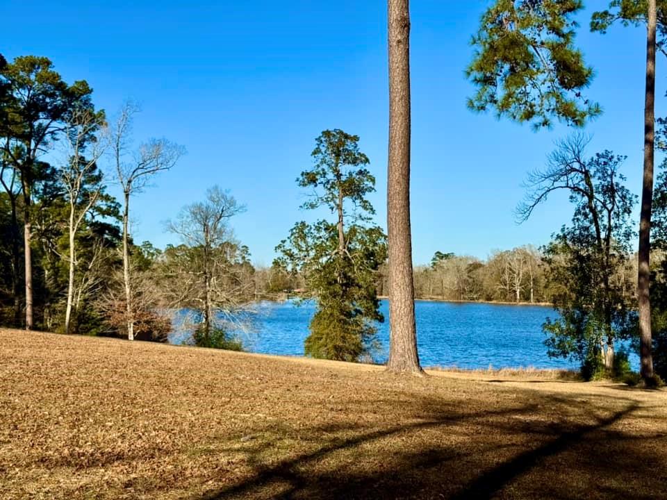 TBD Lakeland Ranch Lot 397, Hillister, Texas image 4