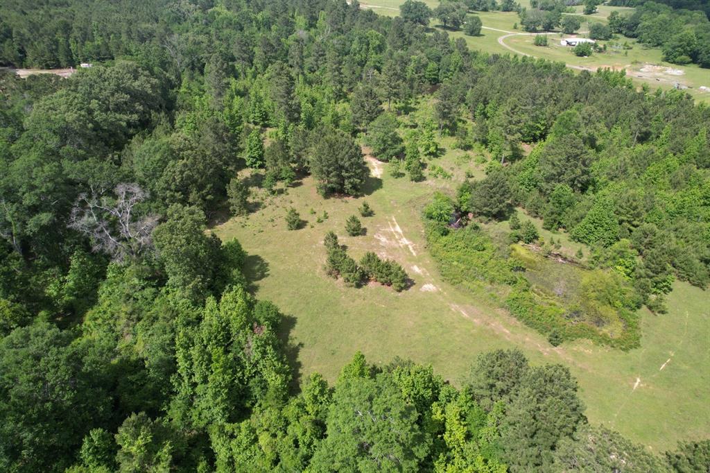 TBD Fm 13, Henderson, Texas image 9