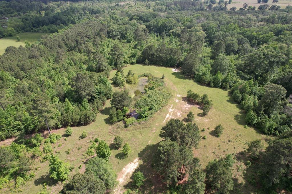 TBD Fm 13, Henderson, Texas image 8