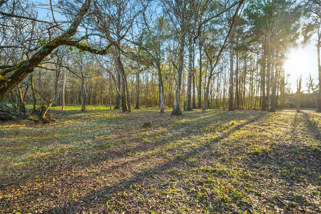 1212 N Fm 1486, Montgomery, Texas image 25