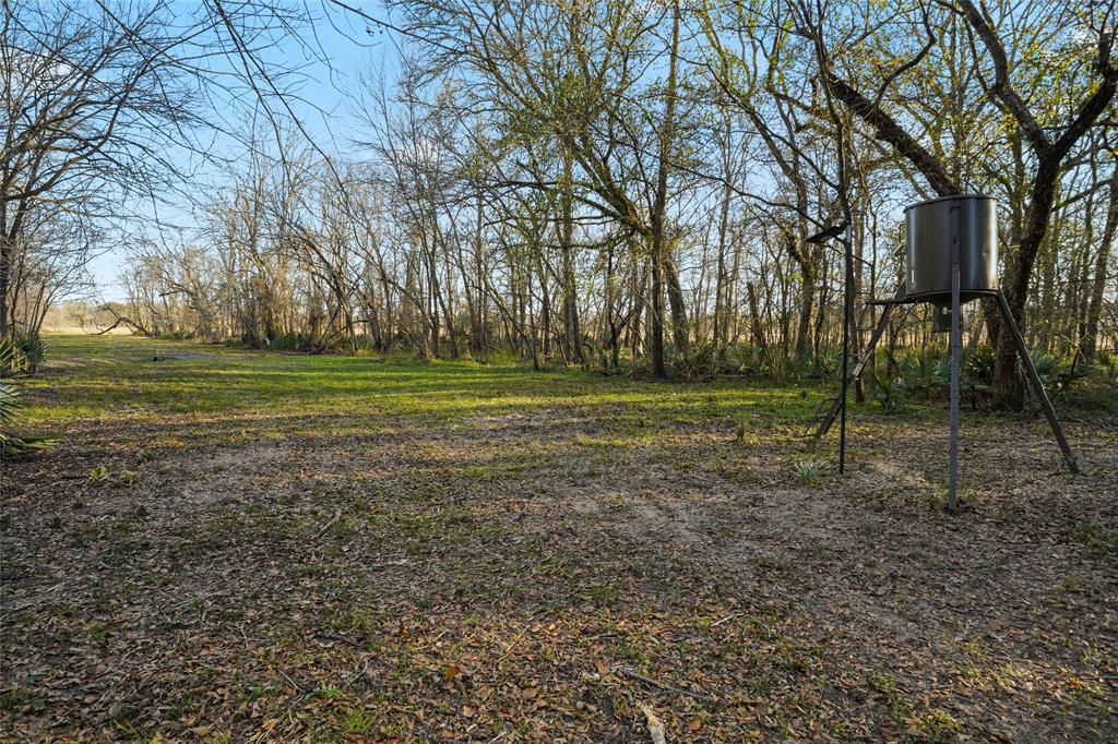 1212 N Fm 1486, Montgomery, Texas image 16