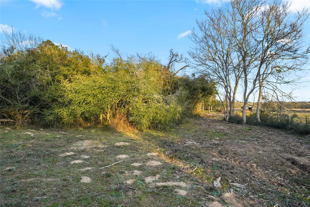 1212 N Fm 1486, Montgomery, Texas image 12