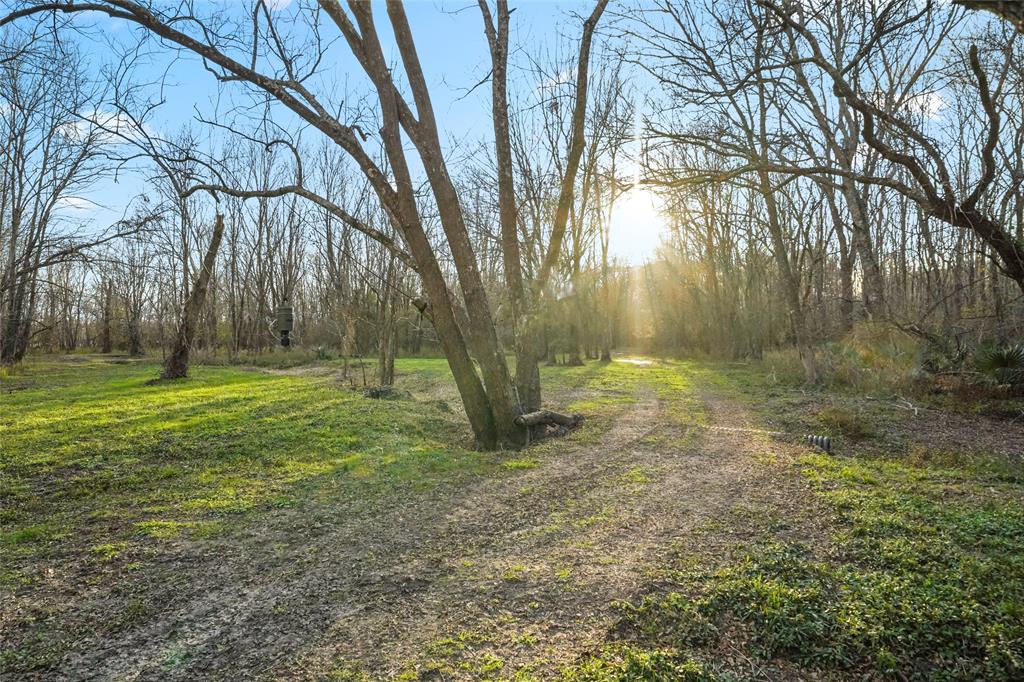 1212 N Fm 1486, Montgomery, Texas image 18