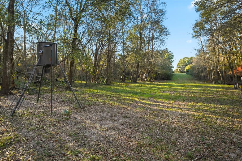 1212 N Fm 1486, Montgomery, Texas image 15