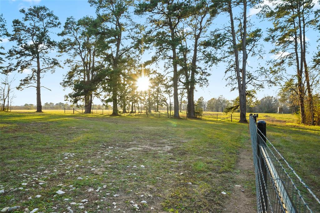 1212 N Fm 1486, Montgomery, Texas image 4
