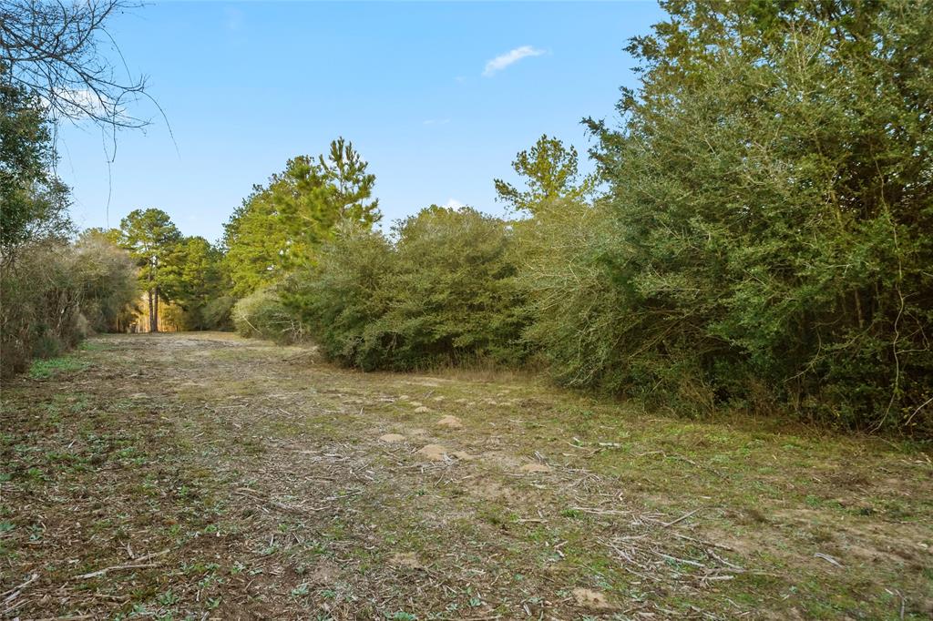 1212 N Fm 1486, Montgomery, Texas image 13