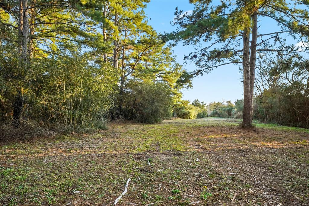 1212 N Fm 1486, Montgomery, Texas image 11