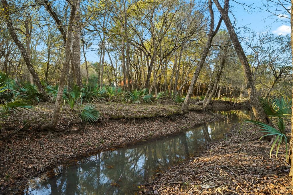 1212 N Fm 1486, Montgomery, Texas image 19