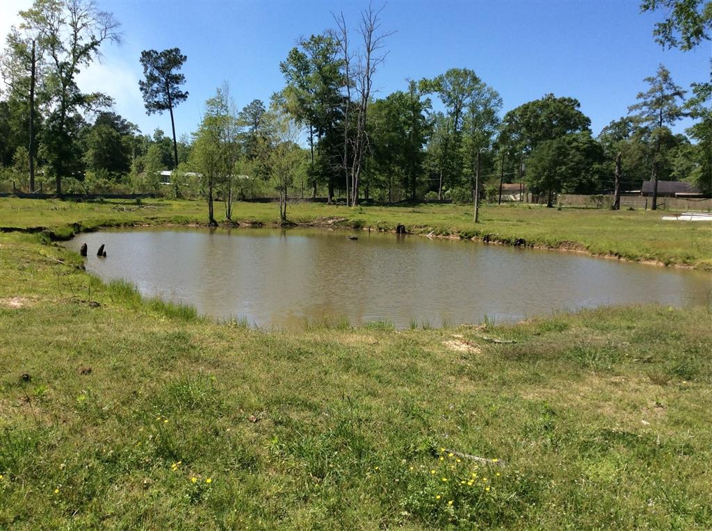 1821 E Beverly Dr Dr, Shepherd, Texas image 8