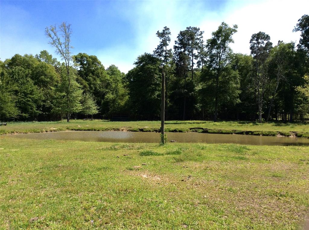 1821 E Beverly Dr Dr, Shepherd, Texas image 9