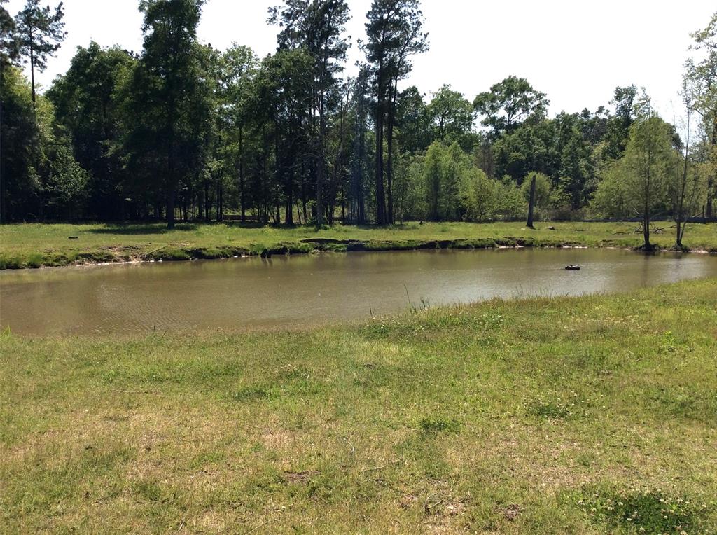1821 E Beverly Dr Dr, Shepherd, Texas image 7