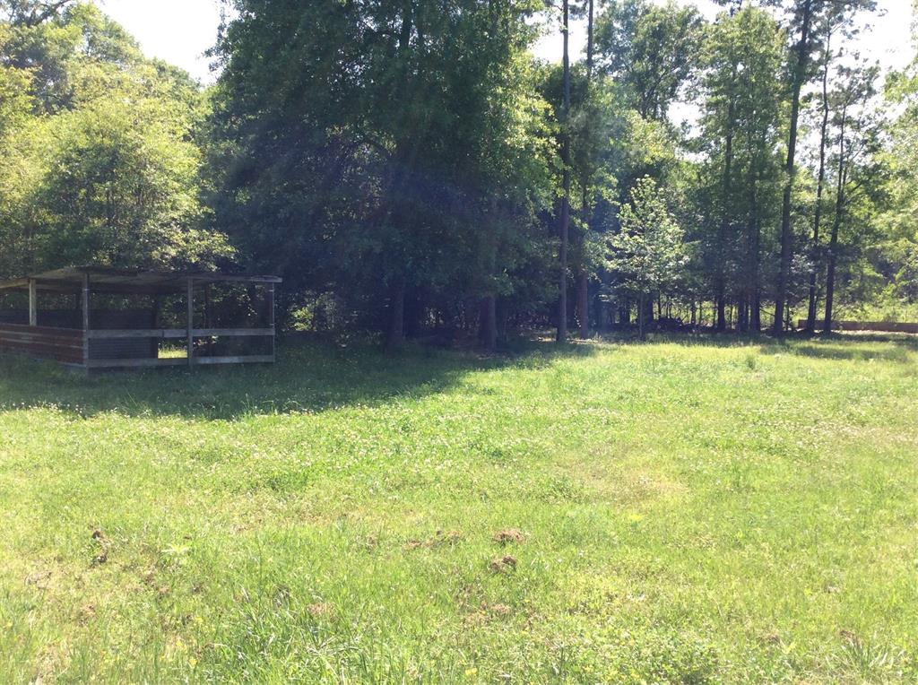1821 E Beverly Dr Dr, Shepherd, Texas image 10