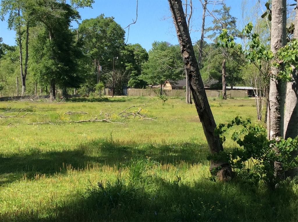 1821 E Beverly Dr Dr, Shepherd, Texas image 16