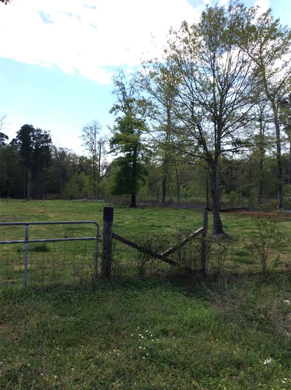 1821 E Beverly Dr Dr, Shepherd, Texas image 13