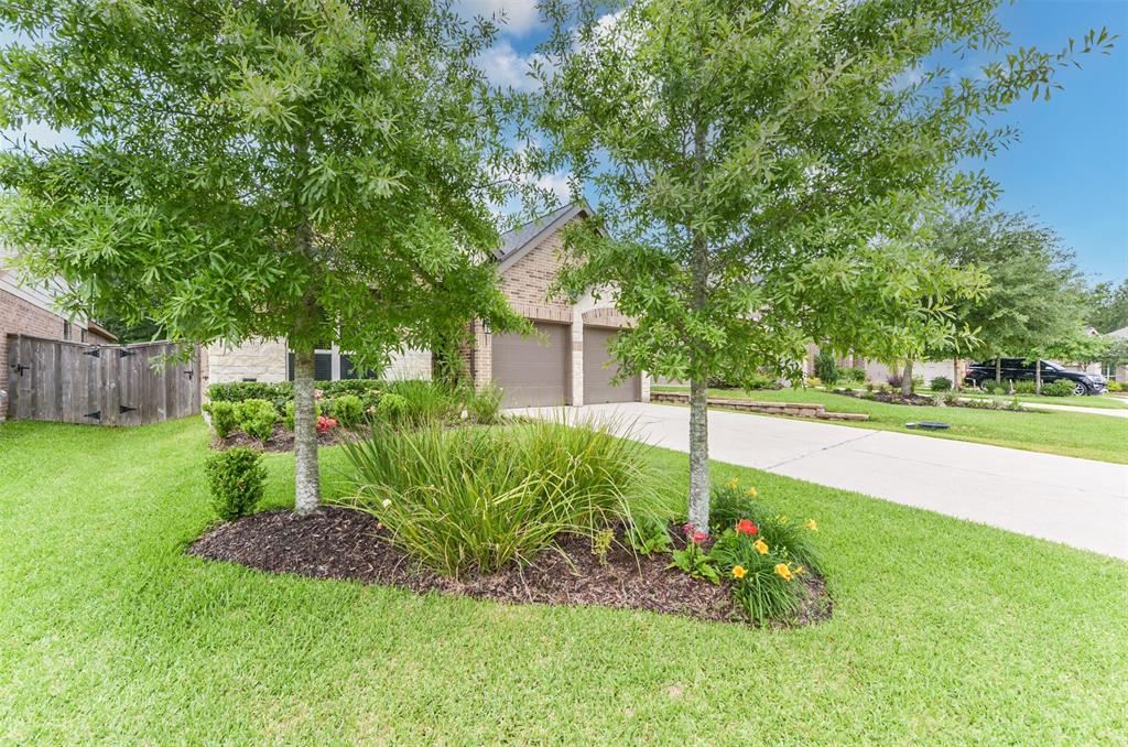 248 Clementine Court