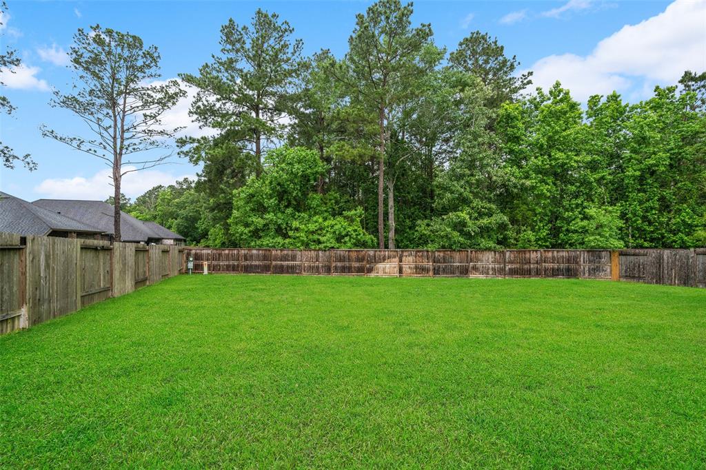 257 N Lynx Trail, Montgomery, Texas image 15