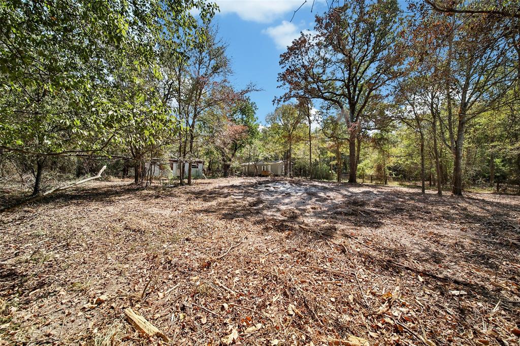 TBD Morris Lane, Huntsville, Texas image 18