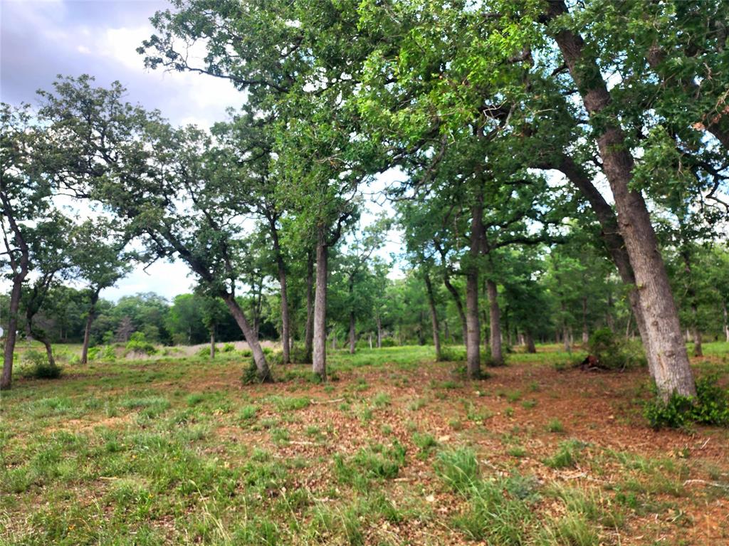 2123 Woodcreek Drive, Waelder, Texas image 4