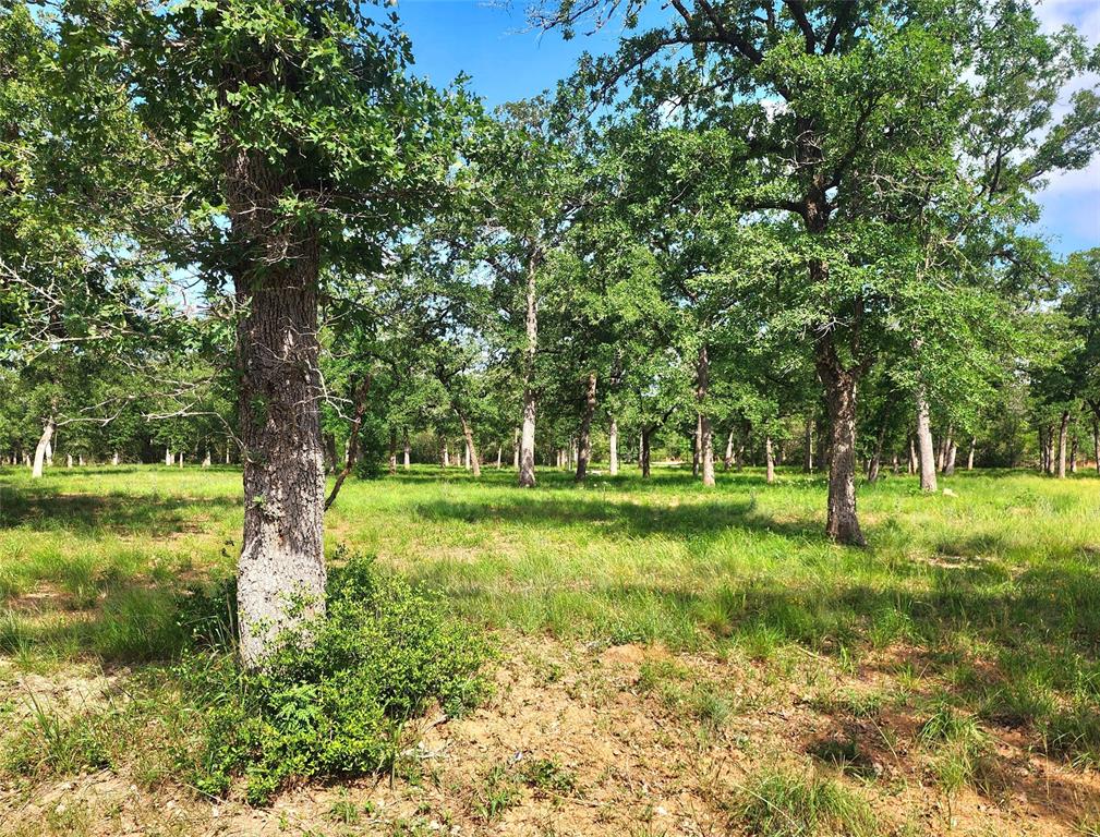 2123 Woodcreek Drive, Waelder, Texas image 14