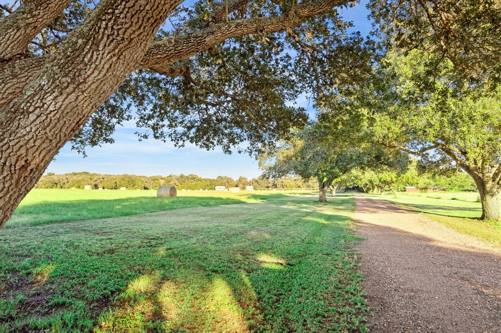 2727 Leonhardt Road, Round Top, Texas image 33