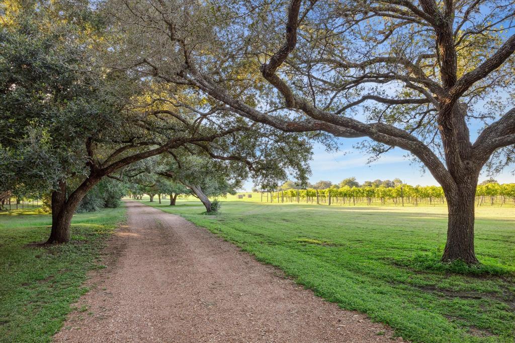 2727 Leonhardt Road, Round Top, Texas image 38