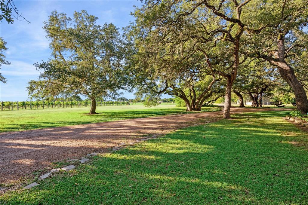 2727 Leonhardt Road, Round Top, Texas image 27