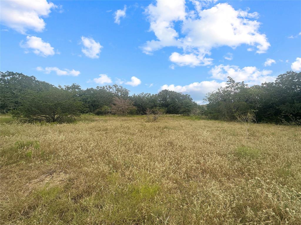 33 +/- Acres Davis Road, Muldoon, Texas image 1