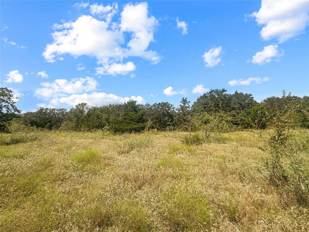 33 +/- Acres Davis Road, Muldoon, Texas image 6